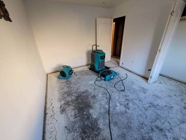 Best Carpet water damage restoration  in Webb City, MO